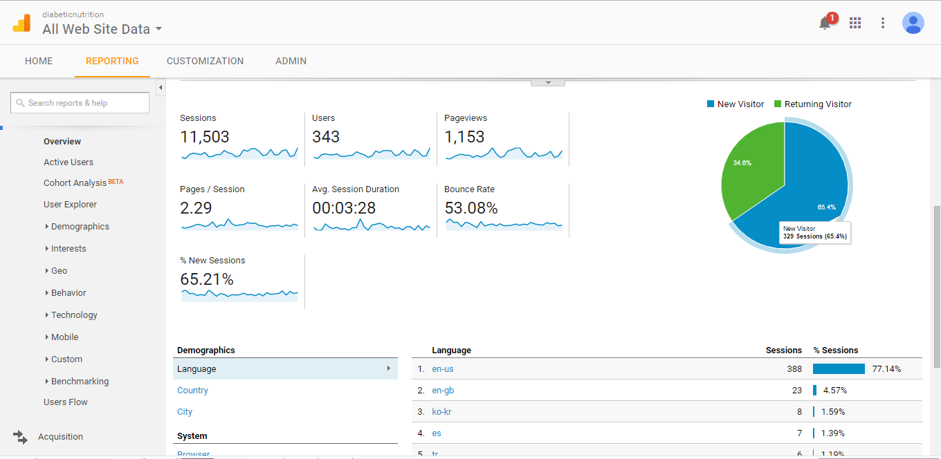 Visitor Analysis Report